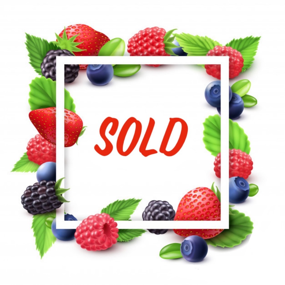 🍓🫐🍒🍇 • SOLD • 🍇🍒🫐🍓